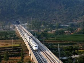 道路、桥梁、隧道与市政工程质量控制精华集萃——筑龙论坛专业分享