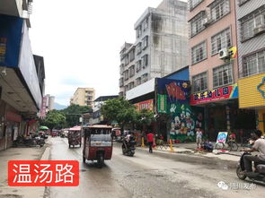 陆川县市政道路工程建设取得阶段性进展，城市交通网络持续优化